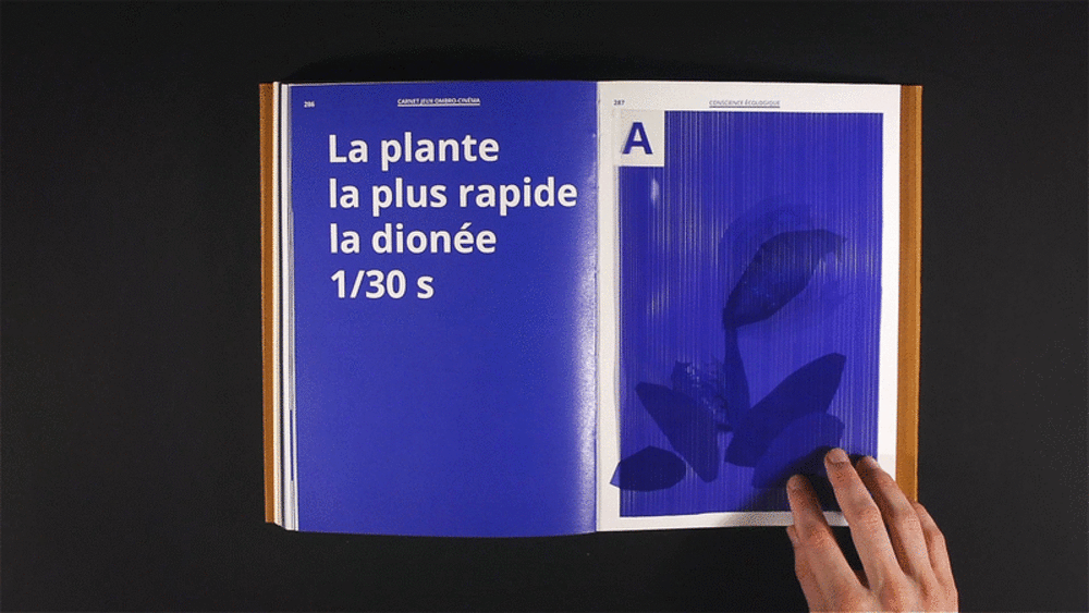 Revue Augmenter, Sébastien Baillou