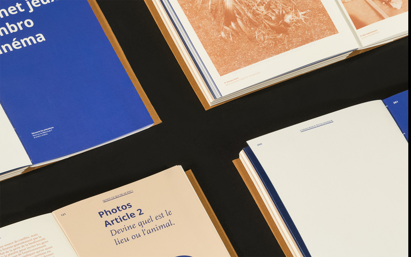 Revue Augmenter, Sébastien Baillou