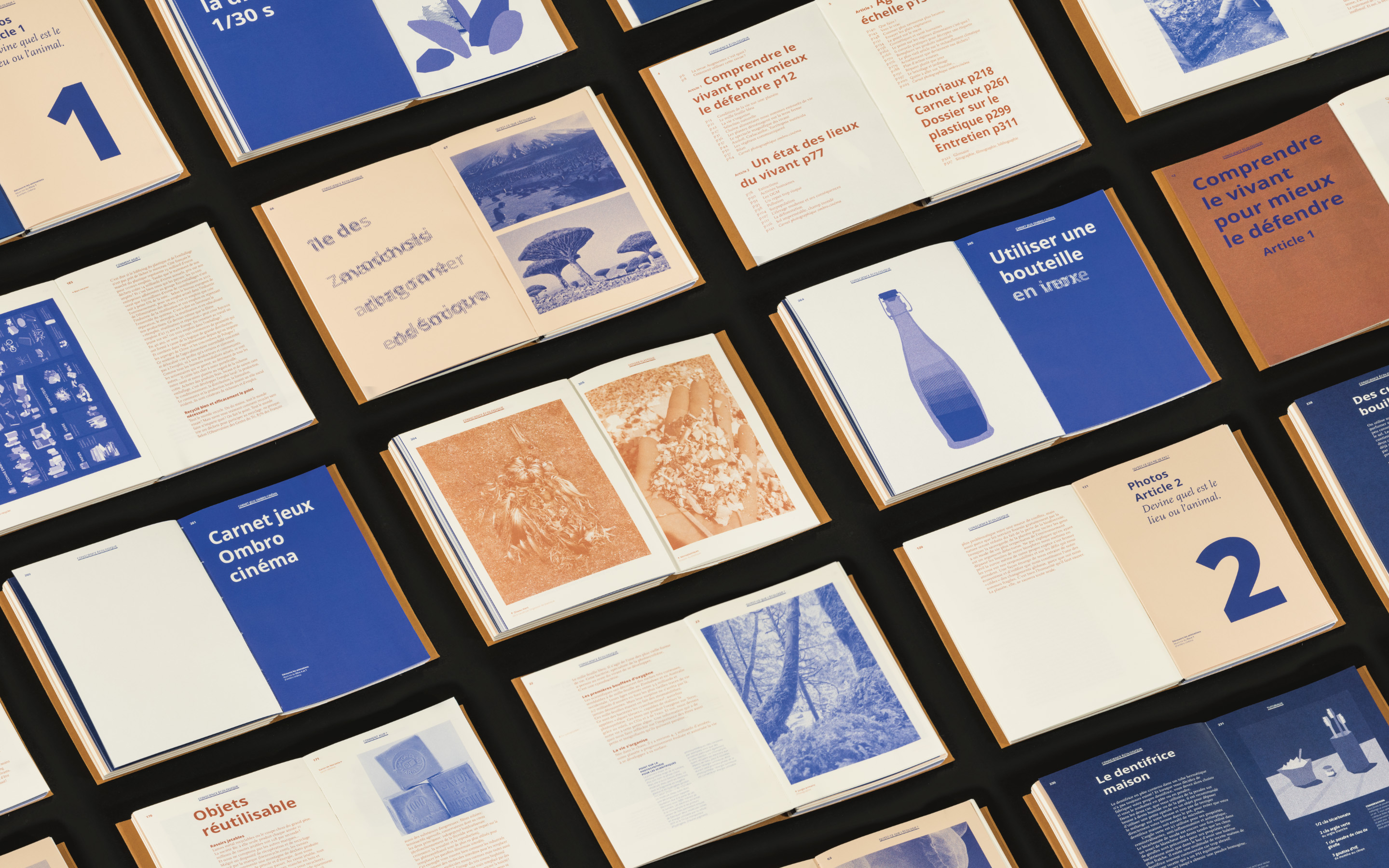 Revue Augmenter, Sébastien Baillou