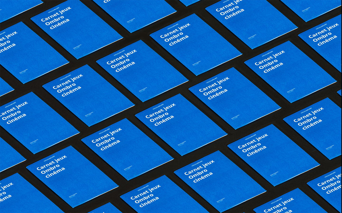 Revue Augmenter, Sébastien Baillou