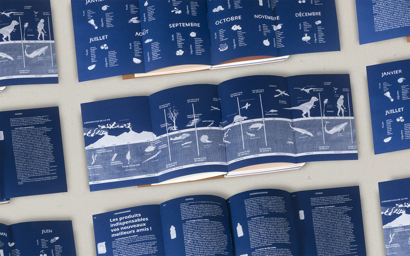 Revue Augmenter, Sébastien Baillou