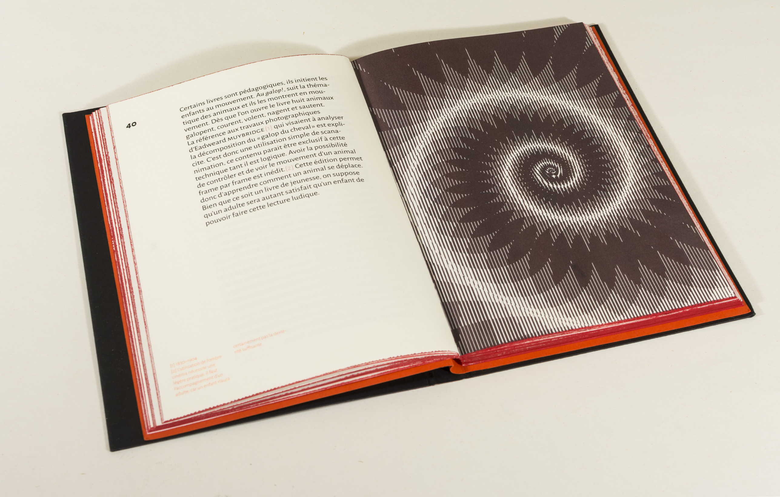 M&eacute;moire proc&eacute;d&eacute; optique, Sébastien Baillou