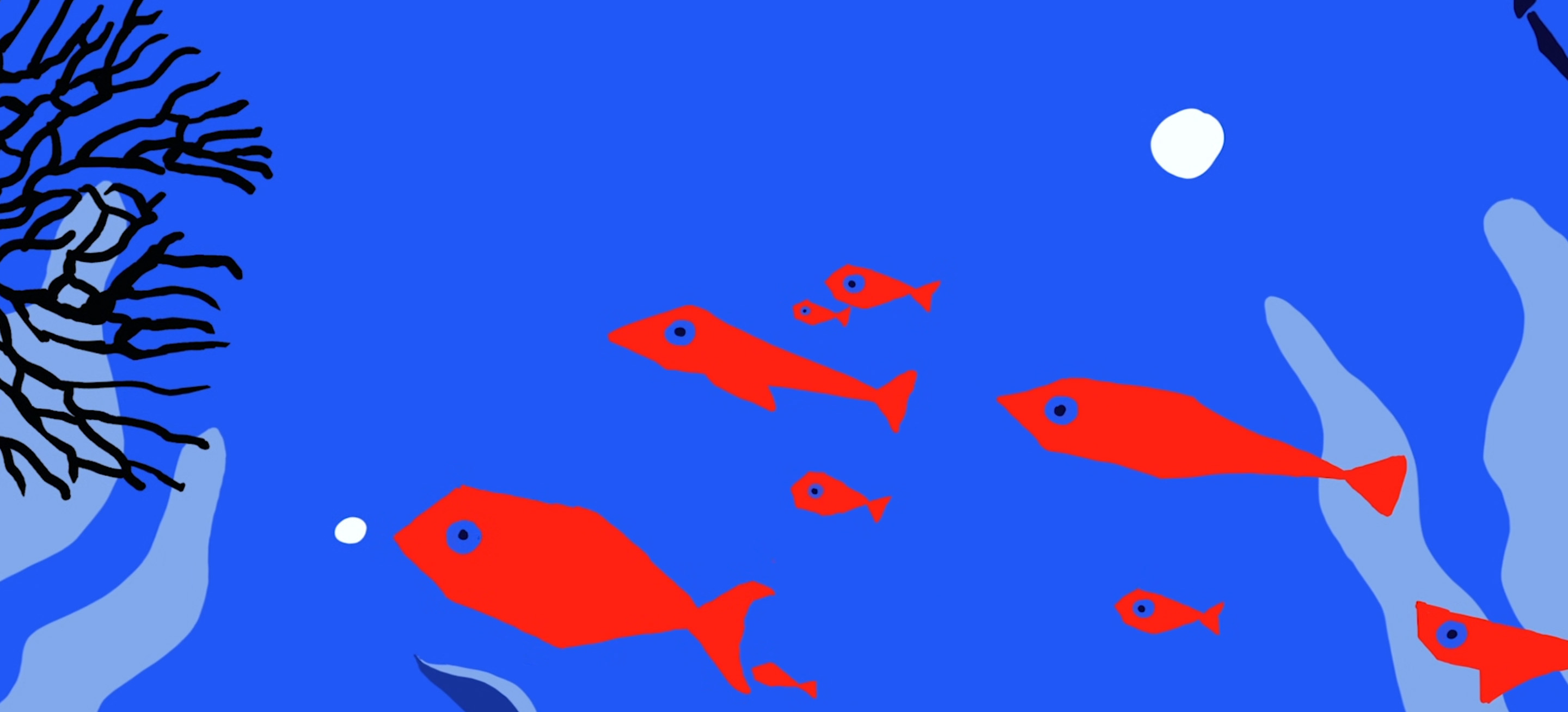 Plastic, Sébastien Baillou