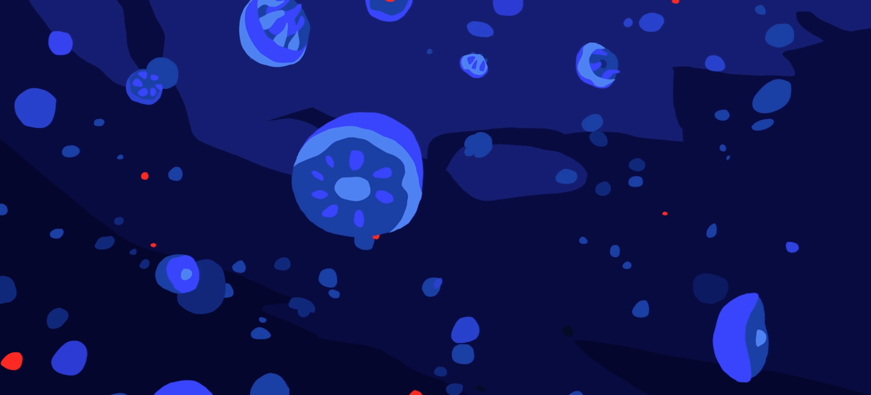 Plastic, Sébastien Baillou