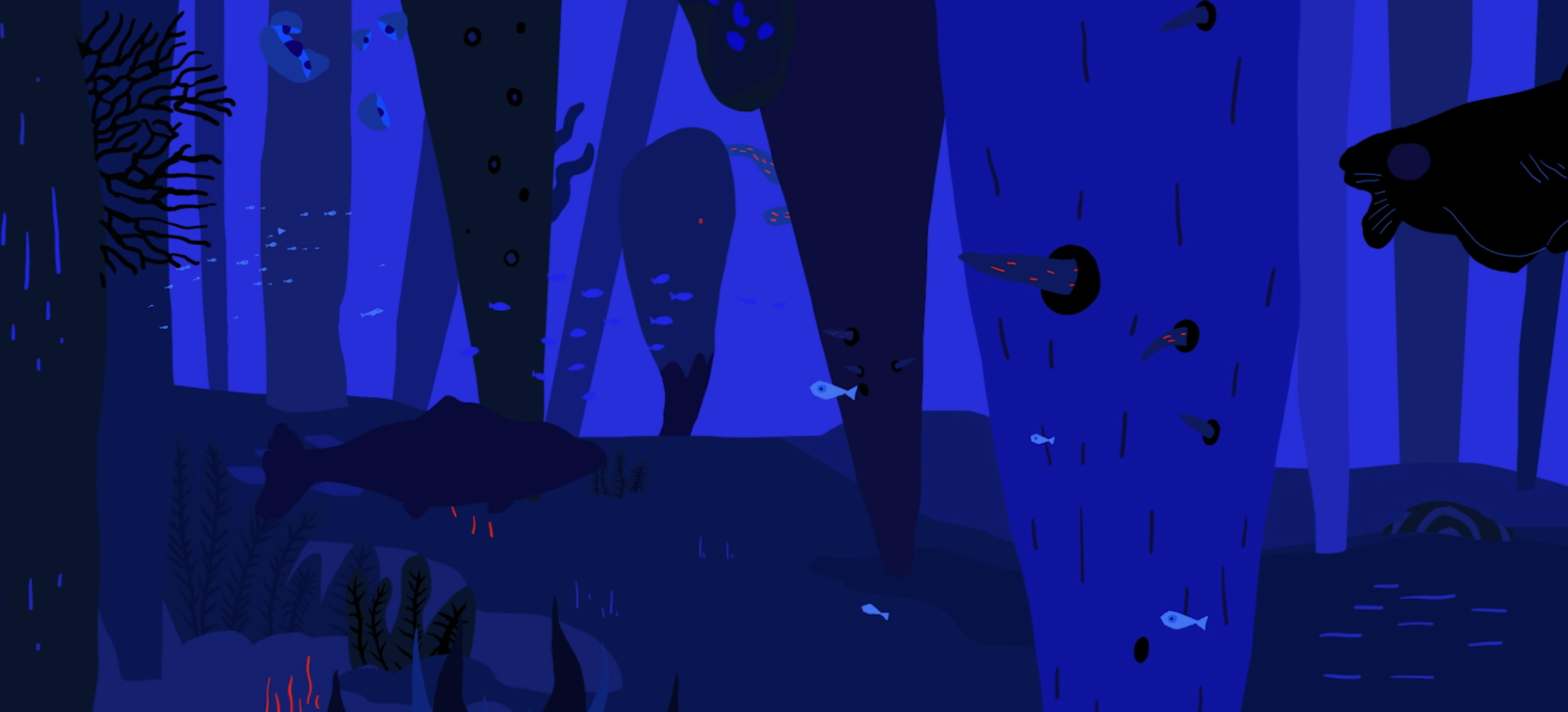 Plastic, Sébastien Baillou