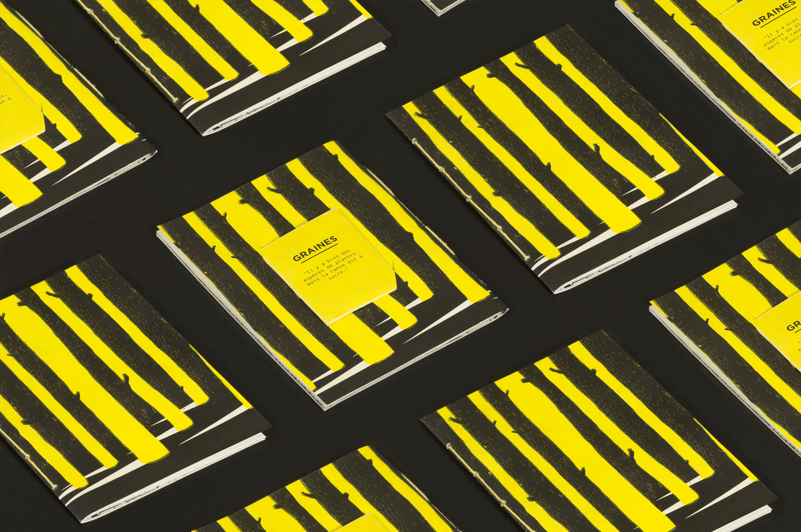 Fanzine Prise, Sébastien Baillou