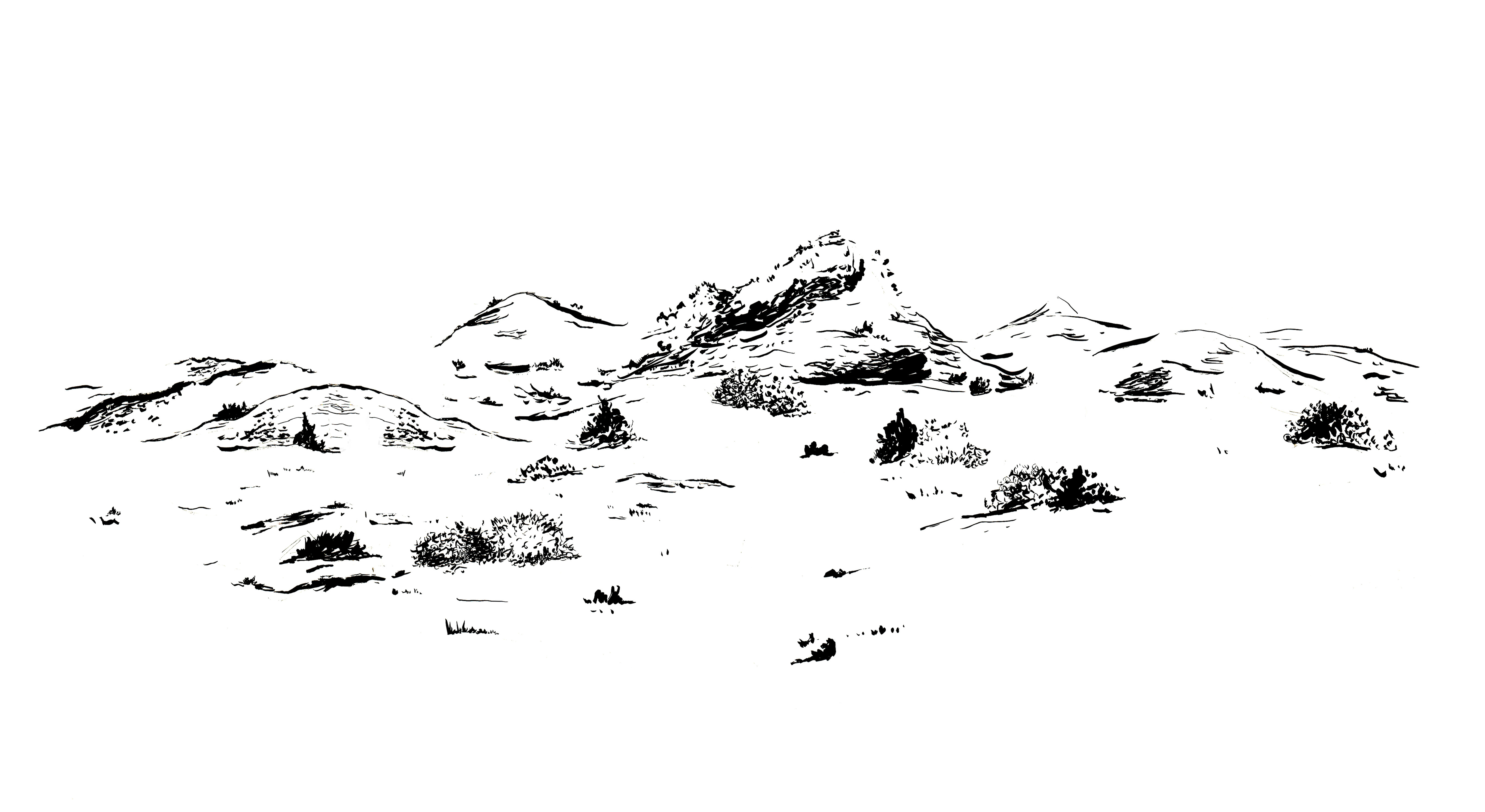 D&eacute;sactiv&eacute;, Sébastien Baillou