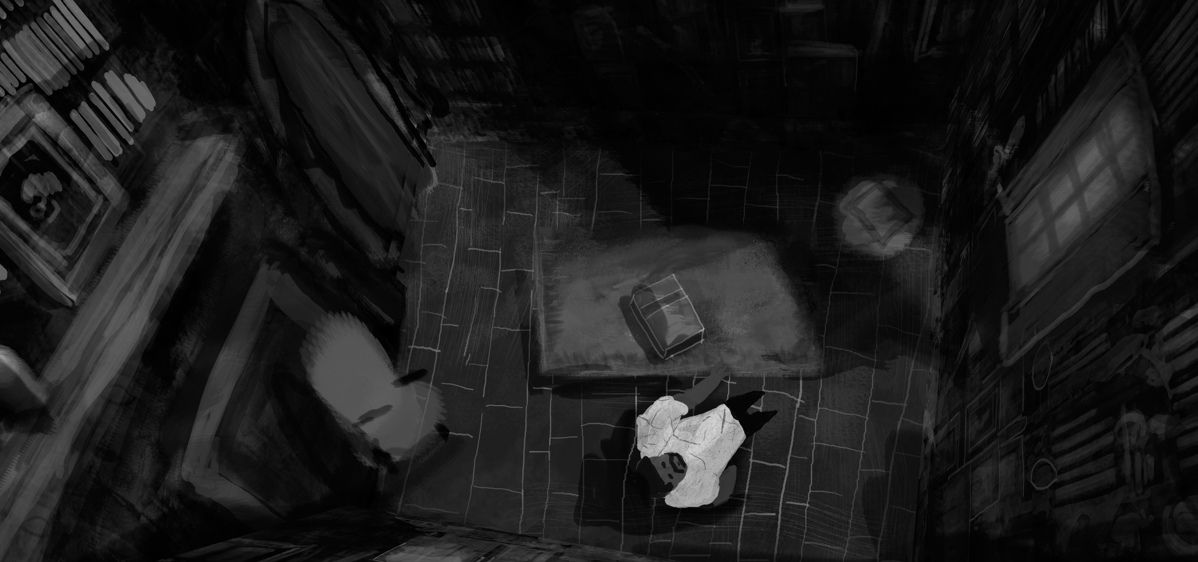 Anamorphos, Sébastien Baillou