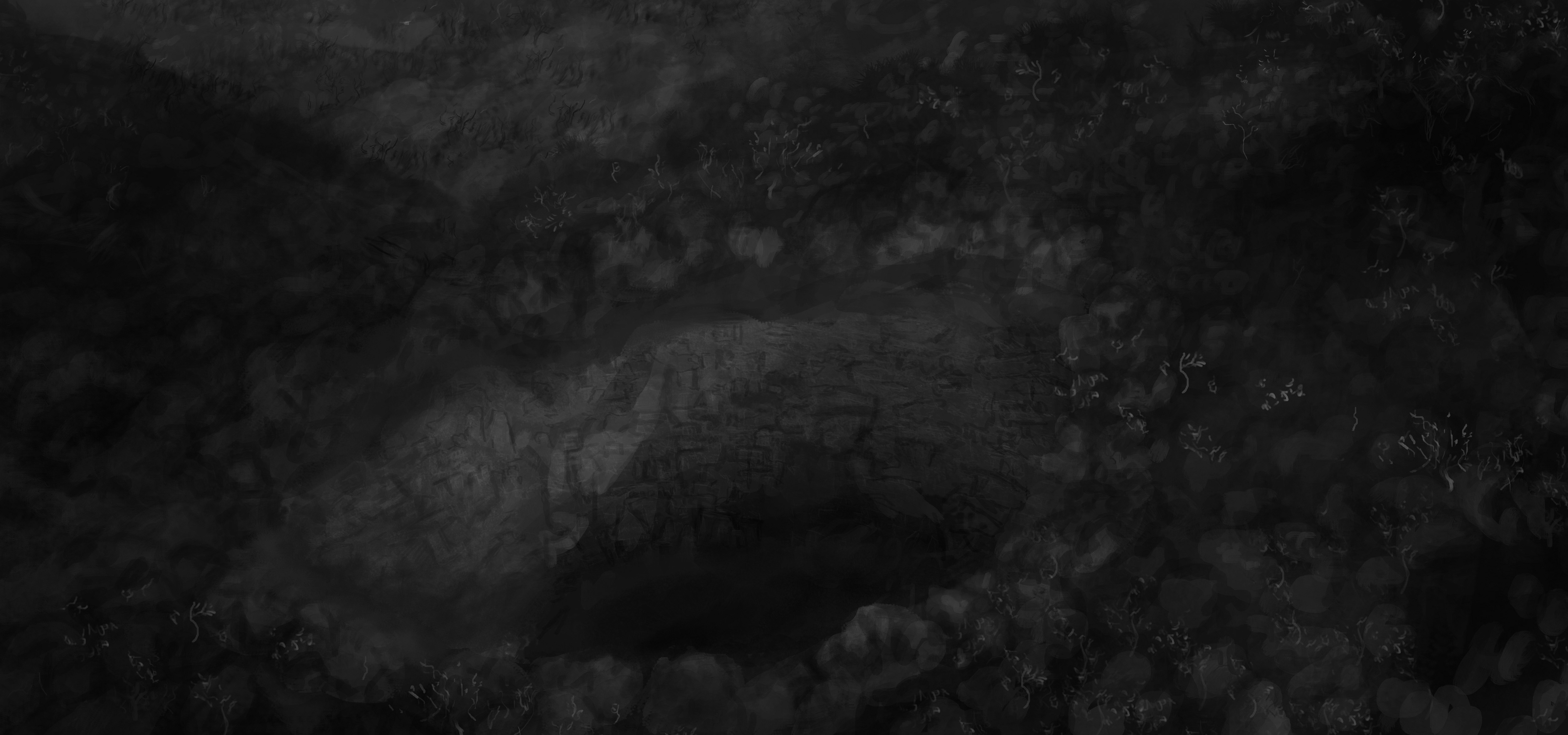 Anamorphos, Sébastien Baillou