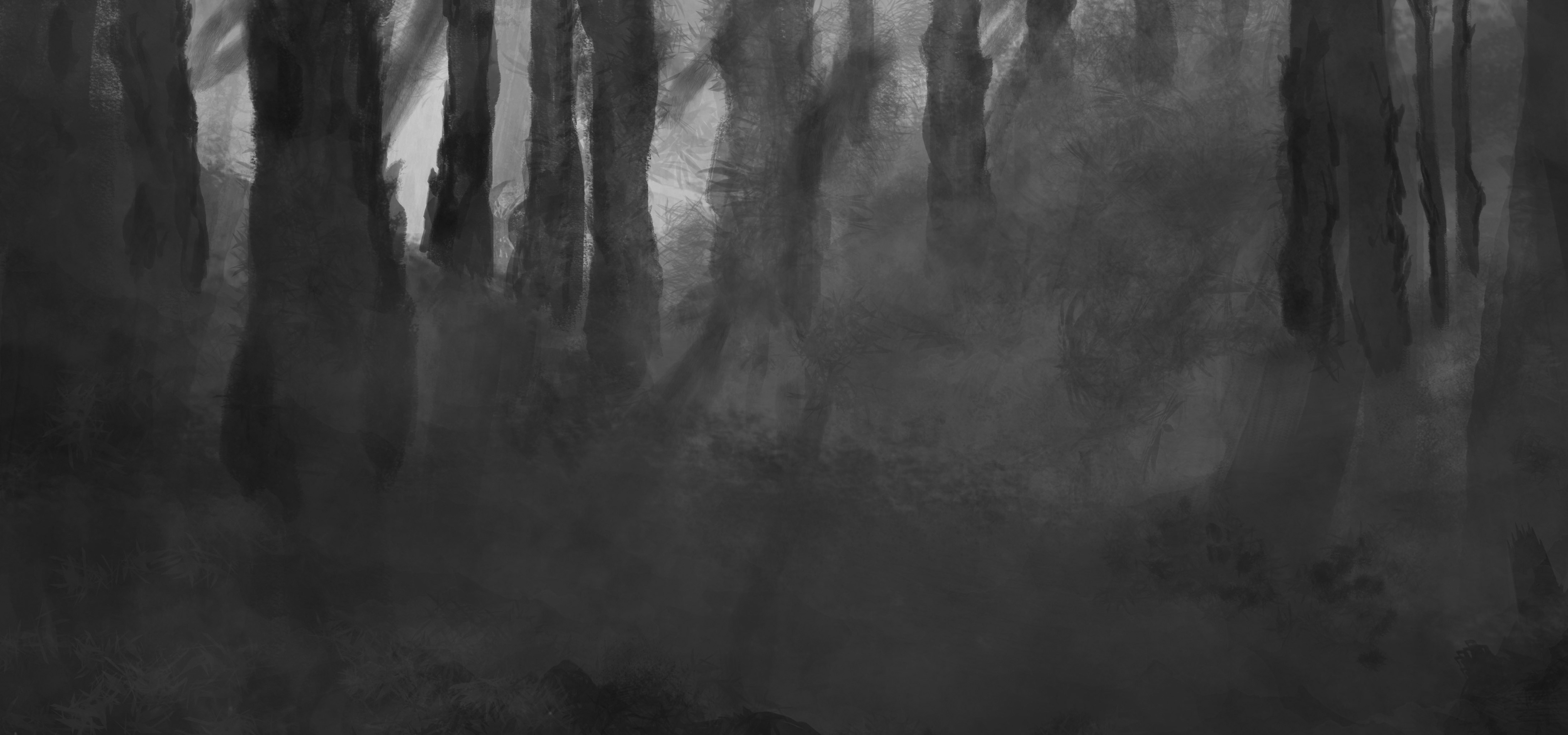 Anamorphos, Sébastien Baillou