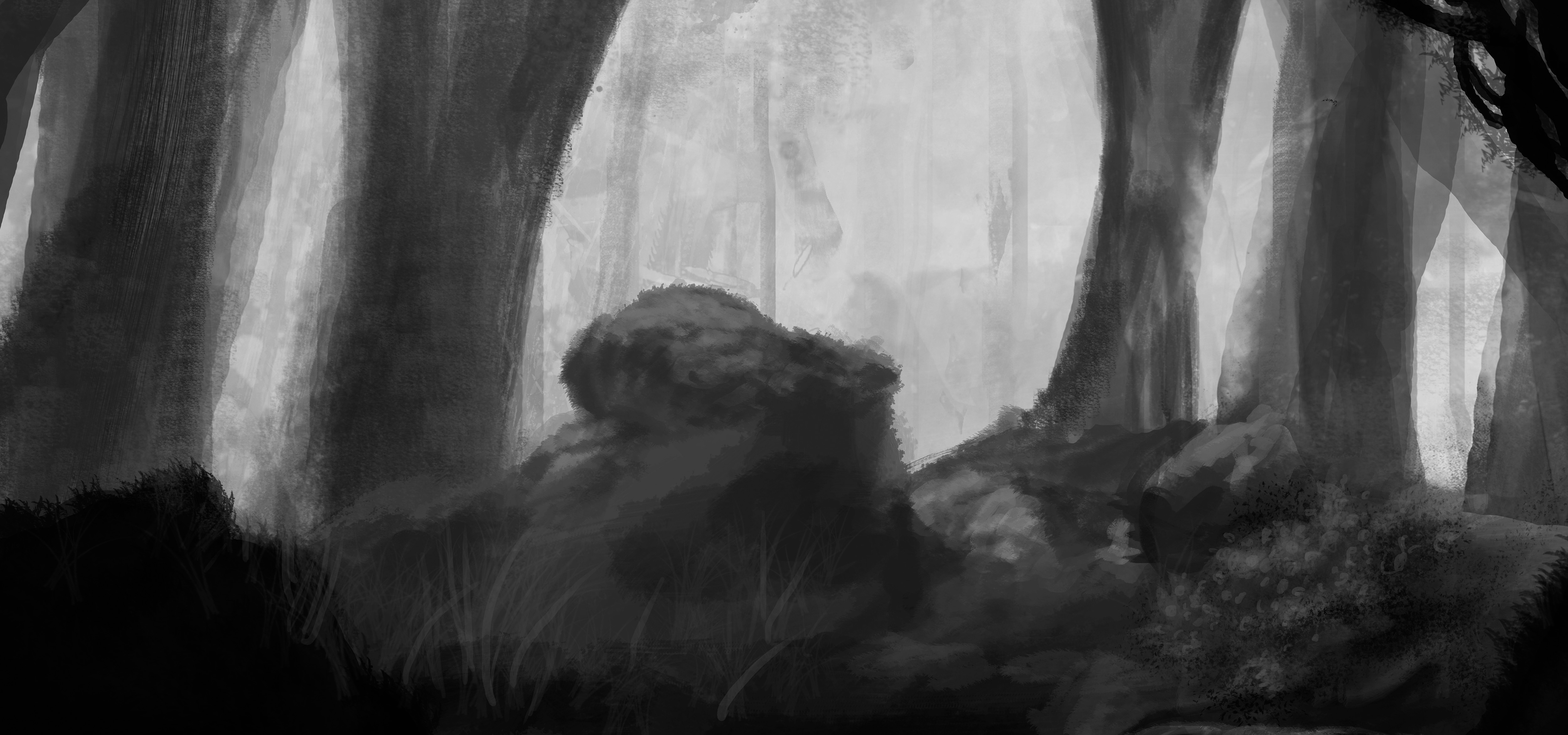 Anamorphos, Sébastien Baillou